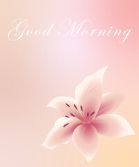  Good morning card on  isolated on pink background,   lily flower
