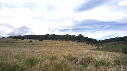Obraz premium landscape with mountains