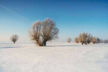 Winter rural landscape, Poland around Malbork	