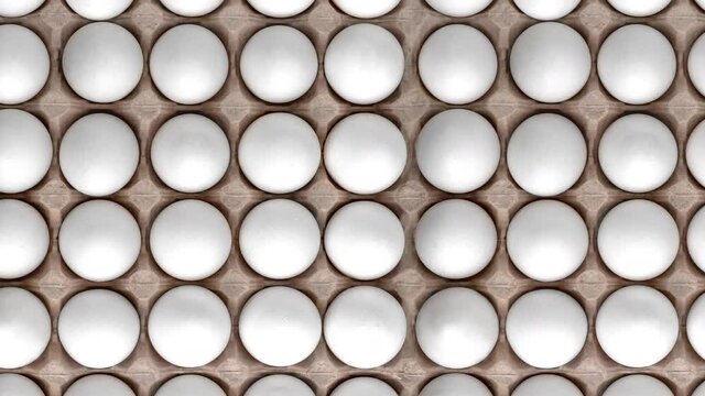 Top view pattern with white chicken raw eggs in carton recyclable cardboard box. natural shadow, easter concept