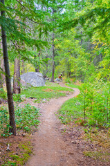 View at Hiking Trail in Park in Vancouver, Canada.