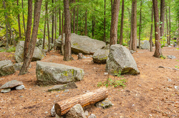 Obraz premium View at Hiking Trail in Park in Vancouver, Canada.