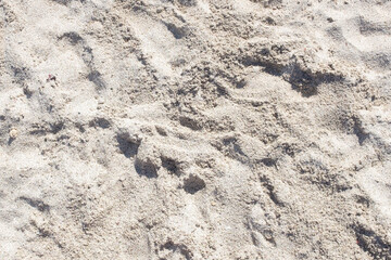 Bahia Inglesa beach sand, Caldera, Chile