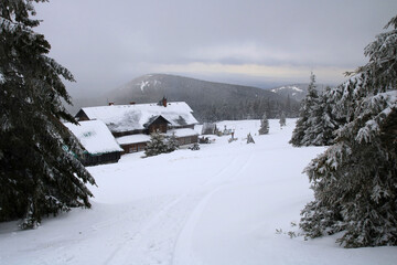 Snieznik Landscape Park, Snieznik Massif, Sudety mountains, Poland © Jan Piotr