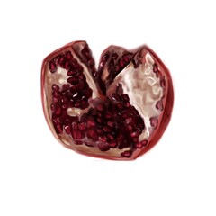 Garnet at the white background. Realistic illustration of garnet. Healthy food. Fruit cutaway.