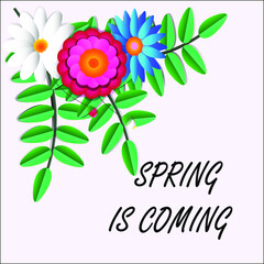 Vector illustration of spring flowers for postcard, banner , frame or background