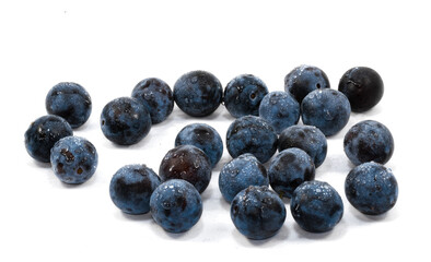 Heap of fresh blackthorn berries isolated on white background