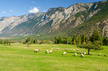 Fototapeta premium Majestic mountains in British Columbia, Canada.