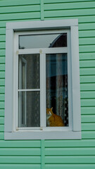 a red cat in the window of a green house