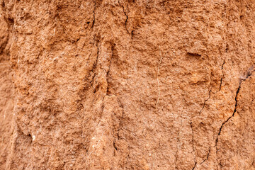 Detail and texture of the earth of a slope with cracks.