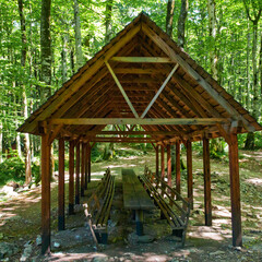 wooden shed stands in the forest