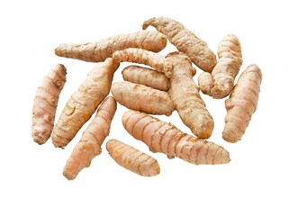 raw curcuma roots for prepare tasty spice