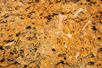 sandstone texture closeup. benagil beach in Portugal.