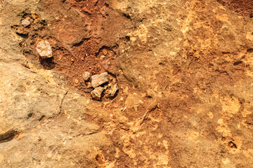 sandstone texture closeup. benagil beach in Portugal.