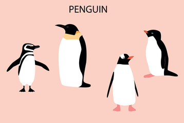 Illustration with emperor penguin. Illustration with emperor penguin. Cute cartoon character. Antarctica bird.