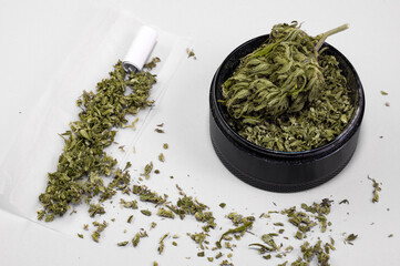 grinder full of dry herb and joint with medical marijuana with paper filter and piece of rolling paper on white background