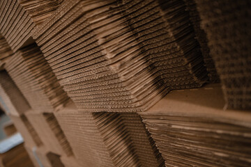 Bales of stacked cardboard sheets