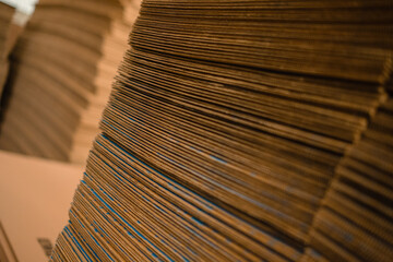 Bales of stacked cardboard sheets