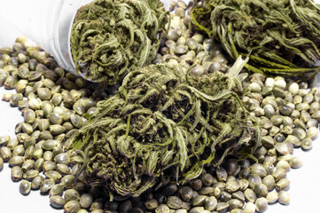 medical cannabis buds and seeds near plastic pharmaceutical container on white