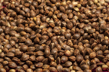 hemp seeds  macro image on white background