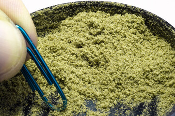 weed grinder full of hemp trichomes of dry medical marijuana flower buds macro image
