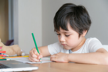 Kid with unhappy face doing homework, Bored Child using green pencil colouring,Youg Boy is drawing or painting on white paper, Concept for homeschooling, Learning online education at home