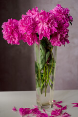 Fototapeta na wymiar Pink peonies in a vase