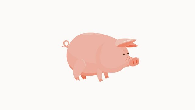 Pig. Animation of a pig with an alpha channel. Animation of a cartoon pig on a transparent background. The pig moves its ears, tail, head, mouth, and blinks its eyes.