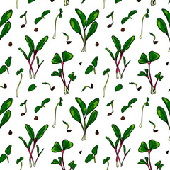 Hand drawn micro greens seamless pattern. Vector illustration in colored sketch style isolated on white background
