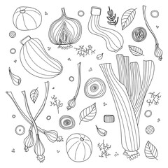 Set of vegetables vector illustration in scandinavian style. Linear graphic. Vegetables background. Healthy food isolated on white background.