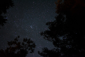 CIELO
