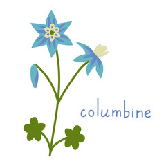 Columbine vector flower