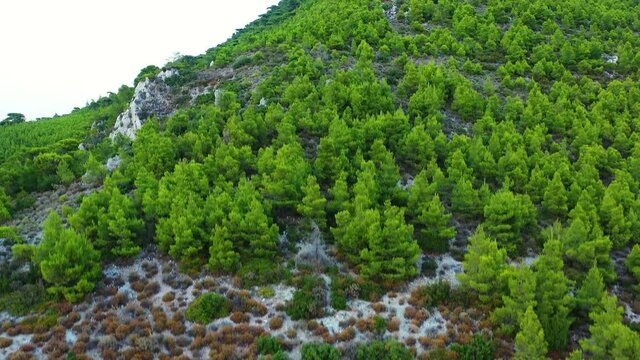 Drone footage of the Gerania mountain in Greece. The drone is facing the side of the mountain with all the lush, green trees, and then flies up to the top. 1080p