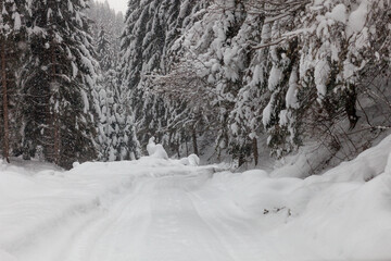 A Mountain Road Covered by Snow
