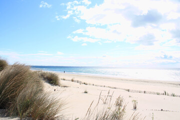 Natural and wild beach with a beautiful and vast area of dunes, Camargue region in the South of Montpellier, France