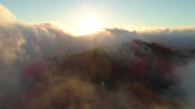 Backwards flying aerial shot over a fog covered forest at sunset. Swirling clouds and beautiful weather and golden light. Dark trees with perfect clouds above.