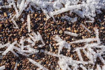 Latvia Baltic Sea beach in winter where close-up icicles can be seen on the colored small stones of the beach