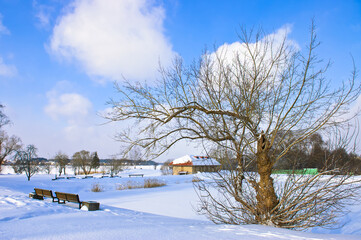 an old stone house on the background of a blue sky with clouds,in the foreground a tree of unusual shape