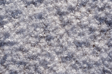 snowy snow with large snowflakes and close up it forms a beautiful pattern
