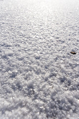 snowy snow with large snowflakes and close up it forms a beautiful pattern