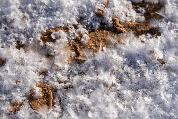 snowy snow with large snowflakes and close up it forms a beautiful pattern