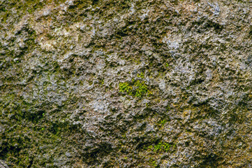 Surface of the stone for natural background