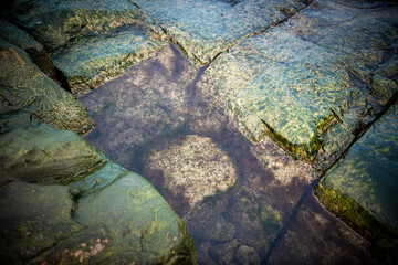 Nature of Åland island