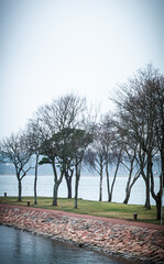 Nature of &Aring;land island