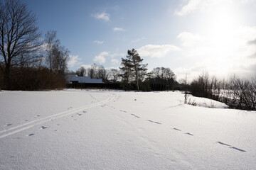 snowy field behind which is visible a house with a snowy roof and trees along it