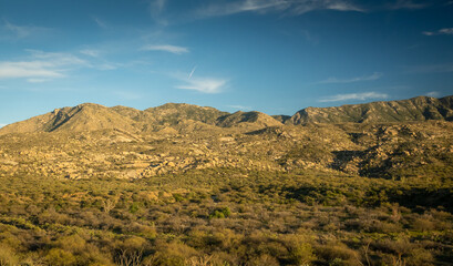 Desert landscape