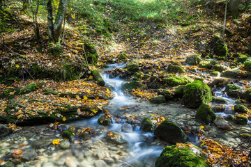 hike in the forest in autumn in bavaria