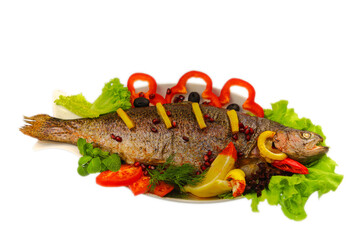 Photo of food for the menu. Catalog shooting of the restaurant menu. Product data survey. Dish on a plate on a white background