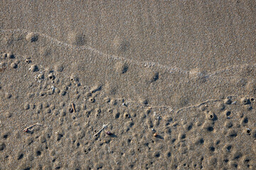 Wind formed repetitive linear abstract patterns in white sand near dunes at surf beach, Makorori Beach, Gisborne,  New Zealand 