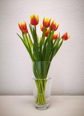 vase with tulips